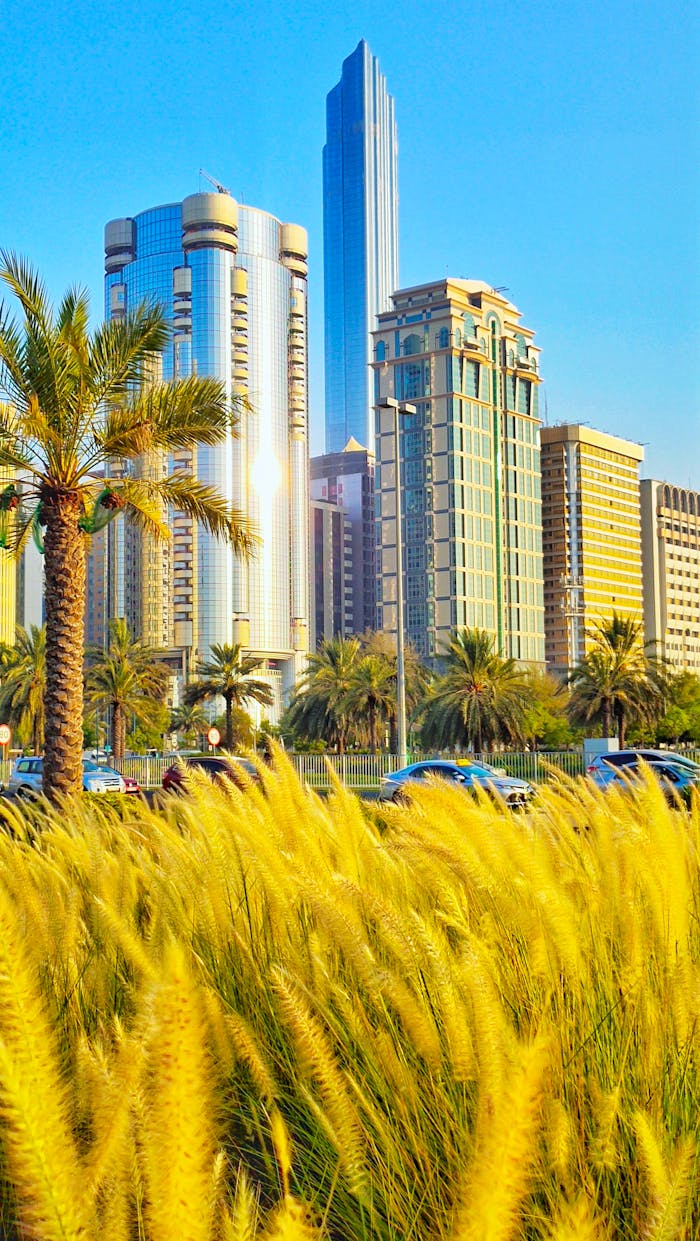 Vibrant cityscape featuring modern skyscrapers and lush palm trees under a bright blue sky.